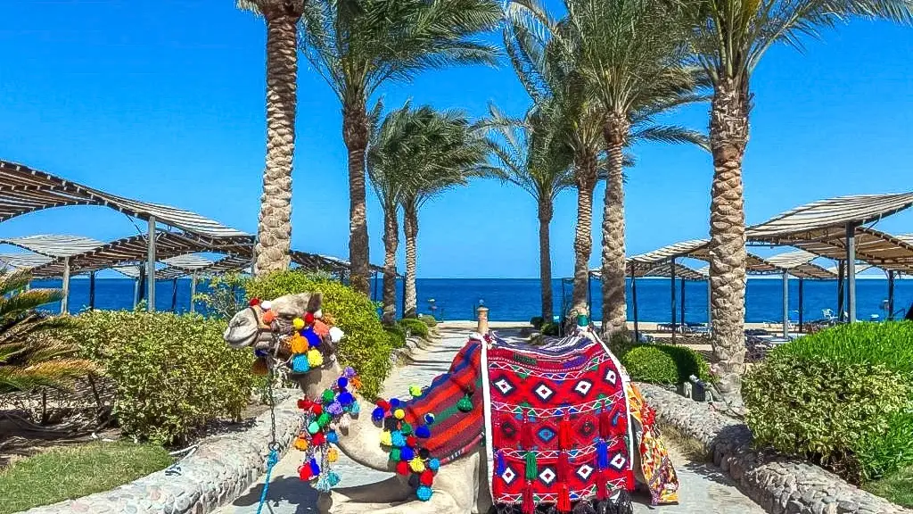 Hotel King Tut Resort - Hurghada